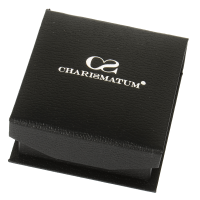 Charismatum® Limited Edition Asche Anhänger aus Titan kleine Träne mattiert T 31 matt