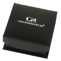 Charismatum® Asche Anhänger aus Titan kleiner Zylinder poliert mit Pfotenabdrücken in schwarz T 13